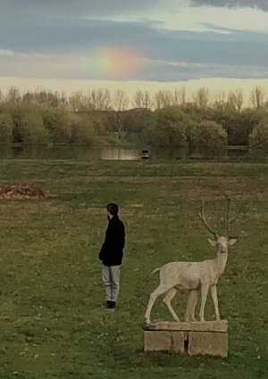 Person on a lawn turning to look at rainbow cloud.